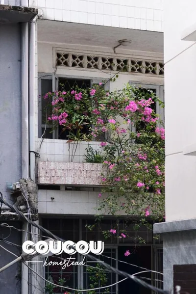 Coucou Homestead I - Homestay & Dorm District 1 – Photos 2